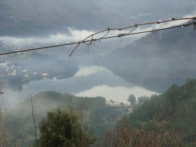 Terreno Agricola ou Rústico para Venda em Ventosa e Cova Foto 5
