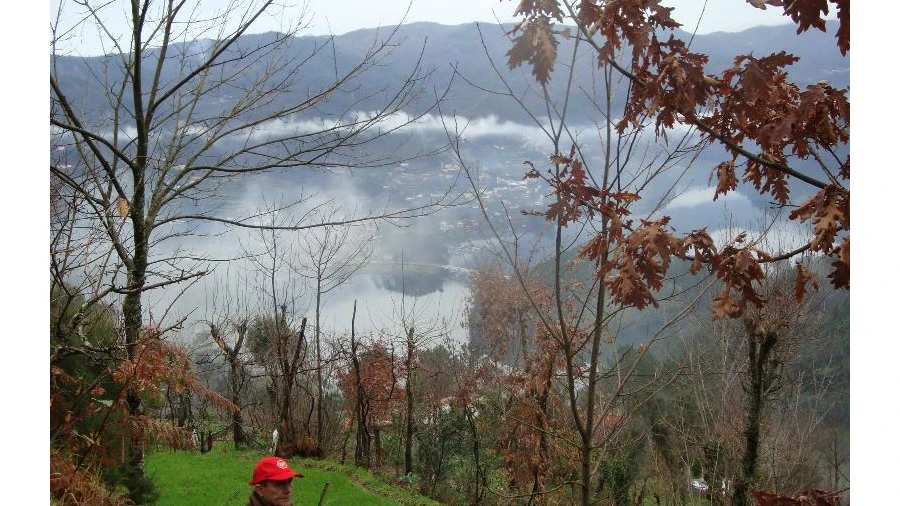 Terreno Agricola ou Rústico para Venda em Ventosa e Cova