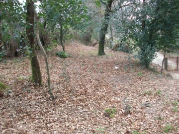 Terreno Agricola ou Rústico para Venda em Serzedelo