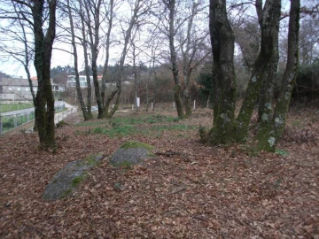 Terreno Agricola ou Rústico para Venda em Serzedelo