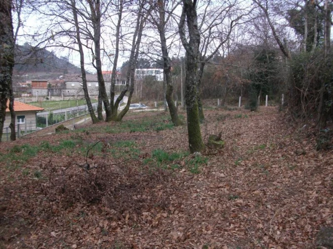 Terreno Agricola ou Rústico para Venda em Serzedelo Foto 3