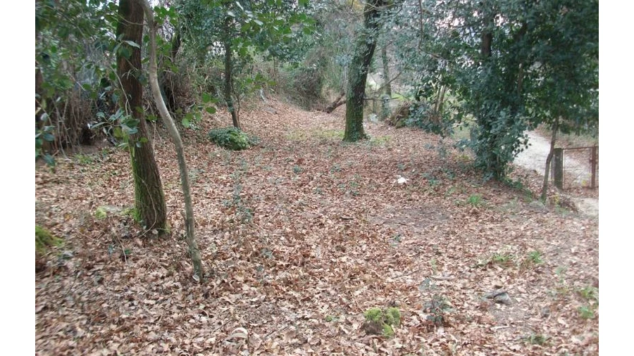 Terreno Agricola ou Rústico para Venda em Serzedelo