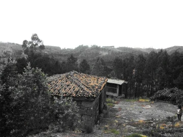 Terreno Agricola ou Rústico para Venda em Anissó e Soutelo