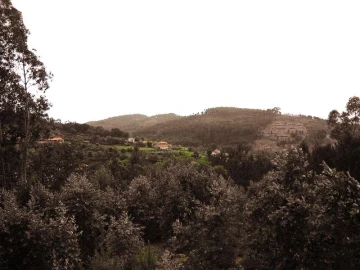 Terreno Agricola ou Rústico para Venda em Anissó e Soutelo