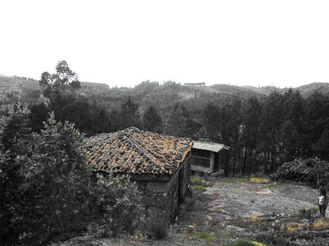 Terreno Agricola ou Rústico para Venda em Anissó e Soutelo Foto 4