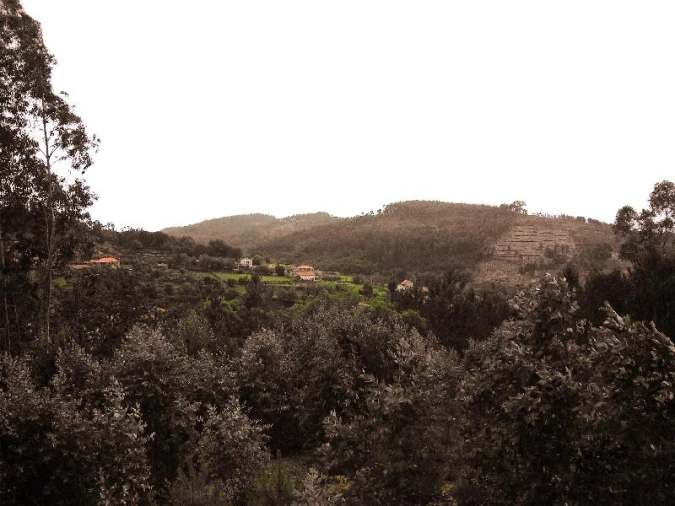 Terreno Agricola ou Rústico para Venda em Anissó e Soutelo Foto 7