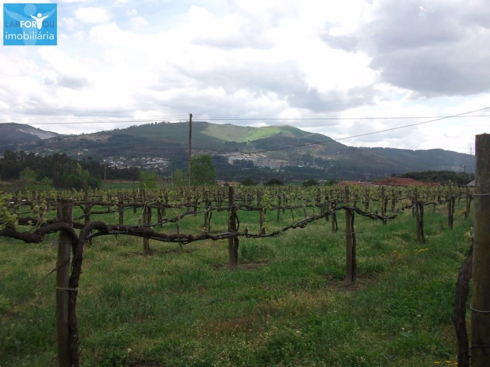 Terreno Agricola ou Rústico para Venda em Campos e Louredo Foto 1