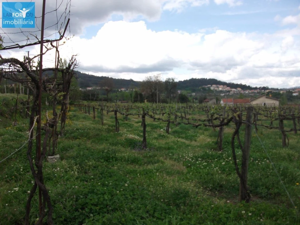 Terreno Agricola ou Rústico para Venda em Campos e Louredo Foto 3