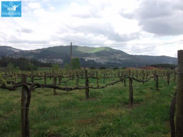 Terreno Agricola ou Rústico para Venda em Campos e Louredo