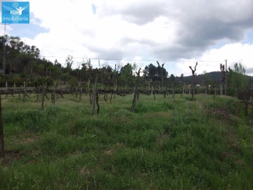 Terreno Agricola ou Rústico para Venda em Campos e Louredo