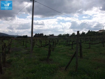 Terreno Agricola ou Rústico para Venda em Campos e Louredo
