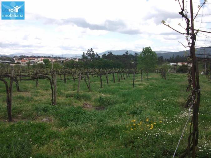 Terreno Agricola ou Rústico para Venda em Campos e Louredo Foto 5