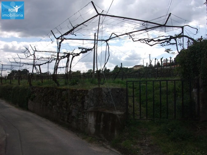 Terreno Agricola ou Rústico para Venda em Campos e Louredo Foto 4