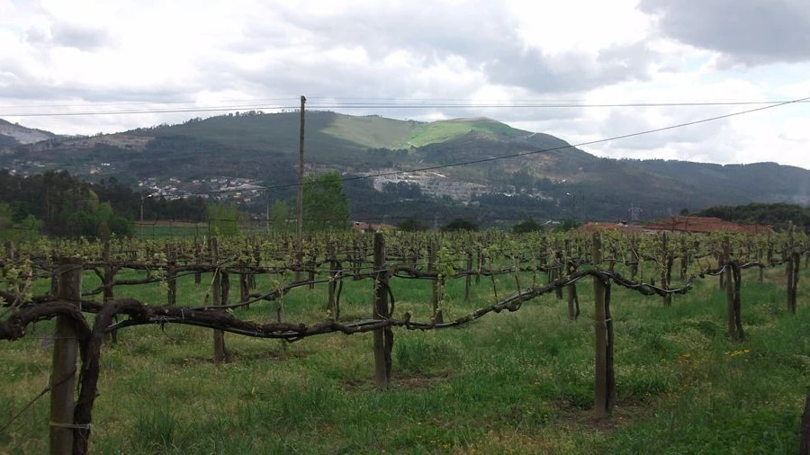 Terreno Agricola ou Rústico para Venda em Campos e Louredo