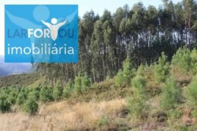 Terreno Agricola ou Rústico para Venda em Esperança e Brunhais