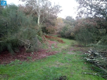 Moradia T4 para Venda em Fonte Arcada e Oliveira