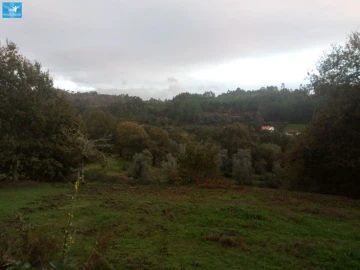 Moradia T4 para Venda em Fonte Arcada e Oliveira