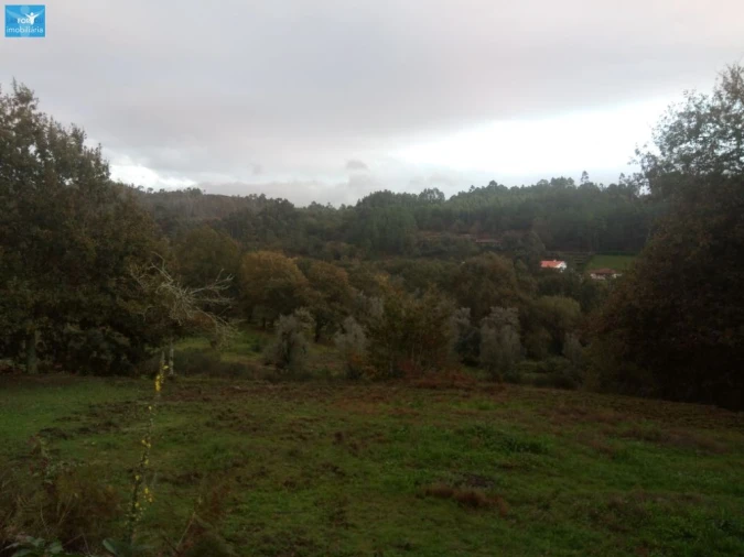 Moradia T4 para Venda em Fonte Arcada e Oliveira Foto 10