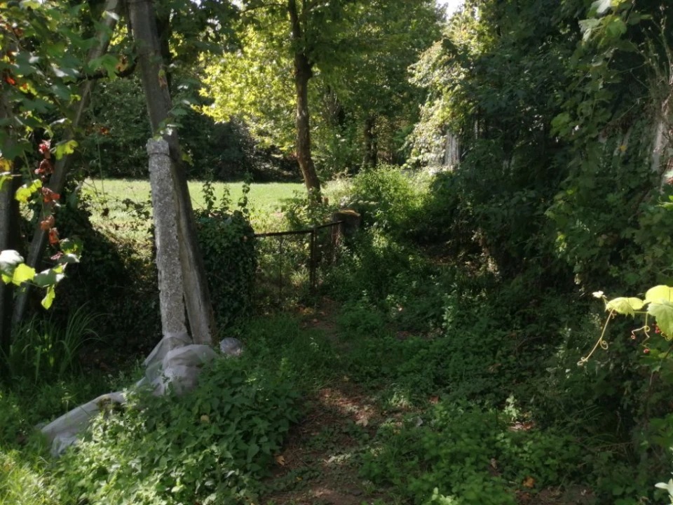 Terreno Agricola ou Rústico para Venda em Fonte Arcada e Oliveira Foto 2