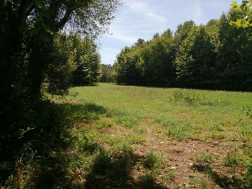 Terreno Agricola ou Rústico para Venda em Fonte Arcada e Oliveira