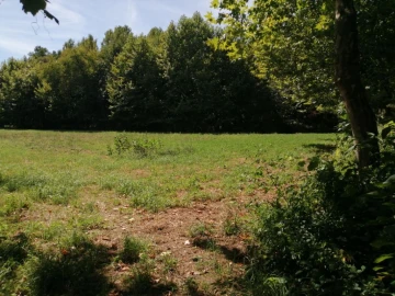 Terreno Agricola ou Rústico para Venda em Fonte Arcada e Oliveira