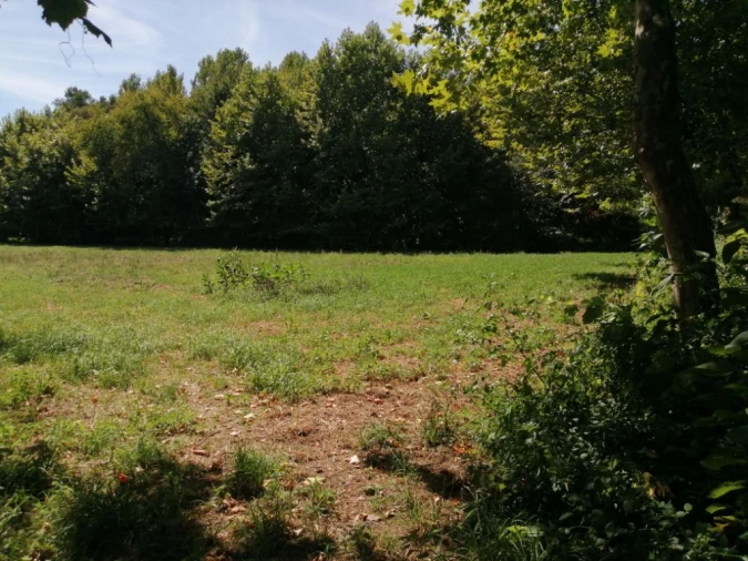 Terreno Agricola ou Rústico para Venda em Fonte Arcada e Oliveira Foto 4