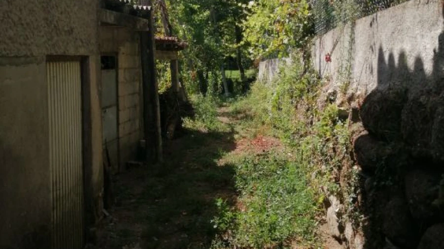 Terreno Agricola ou Rústico para Venda em Fonte Arcada e Oliveira