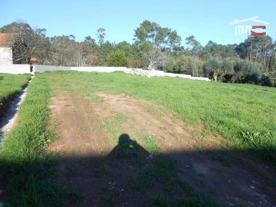 Terreno para Venda em São Mamede Foto 6
