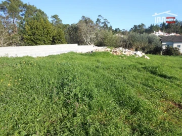 Terreno para Venda em São Mamede