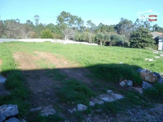 Terreno para Venda em São Mamede Foto 3