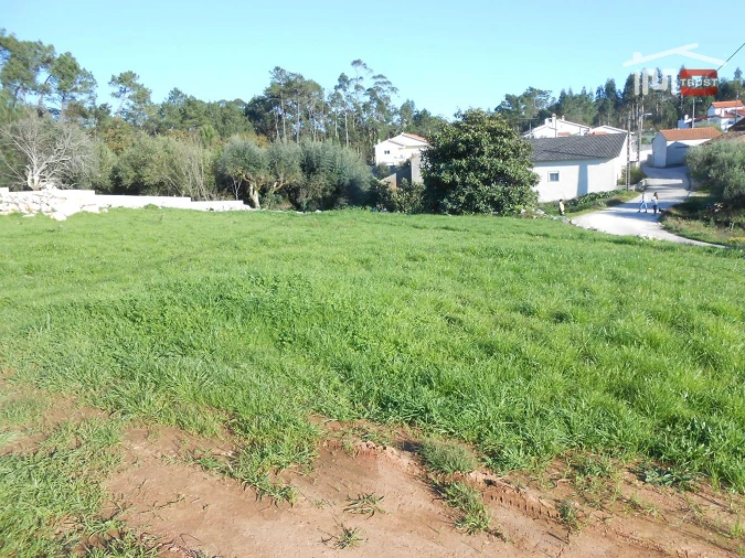 Terreno para Venda em São Mamede Foto 7