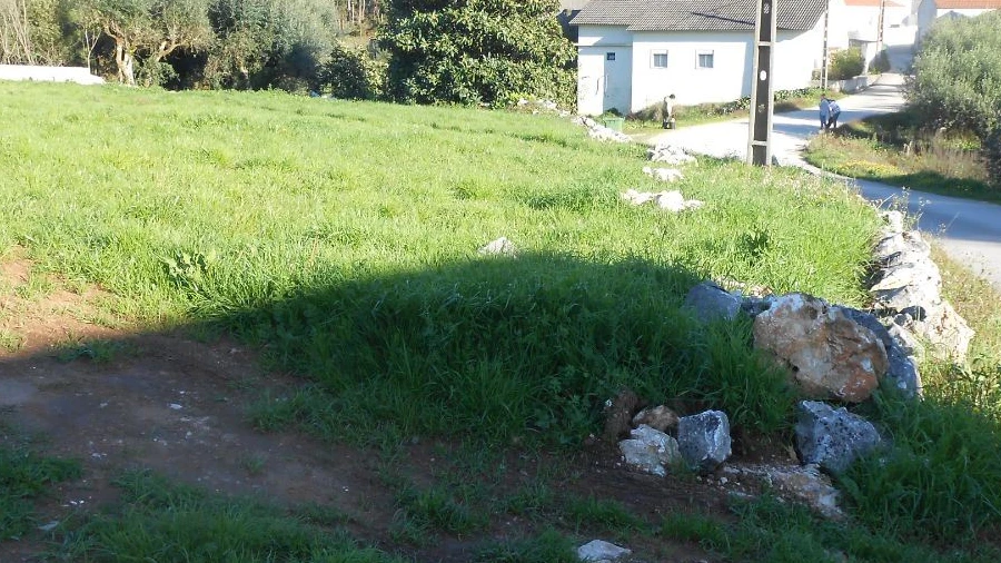 Terreno para Venda em São Mamede