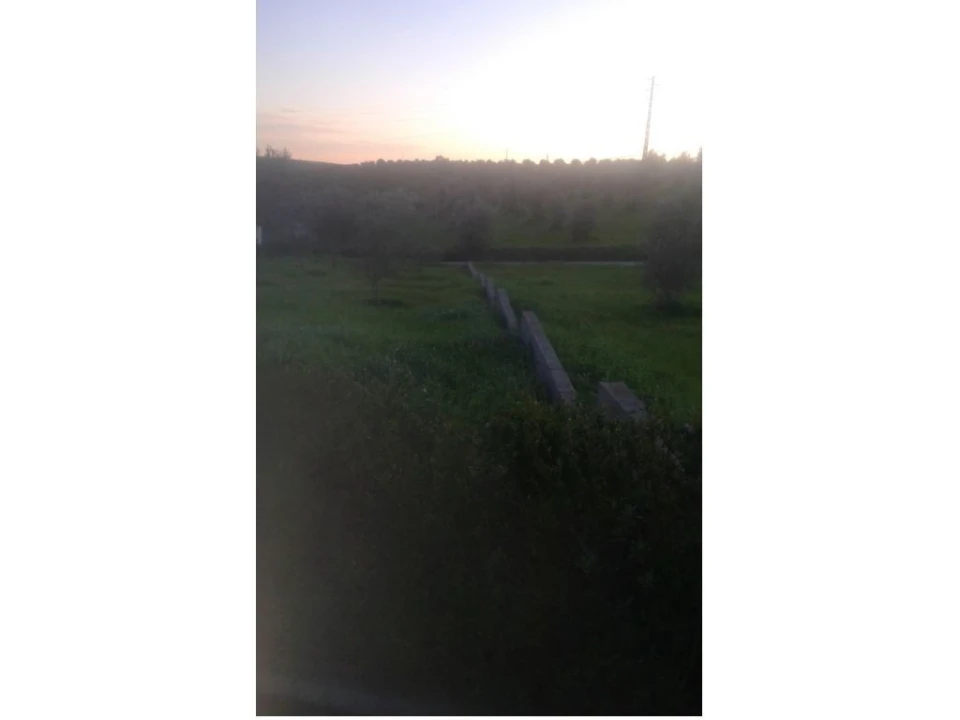 Terreno Agricola ou Rústico para Venda em Montargil Foto 3