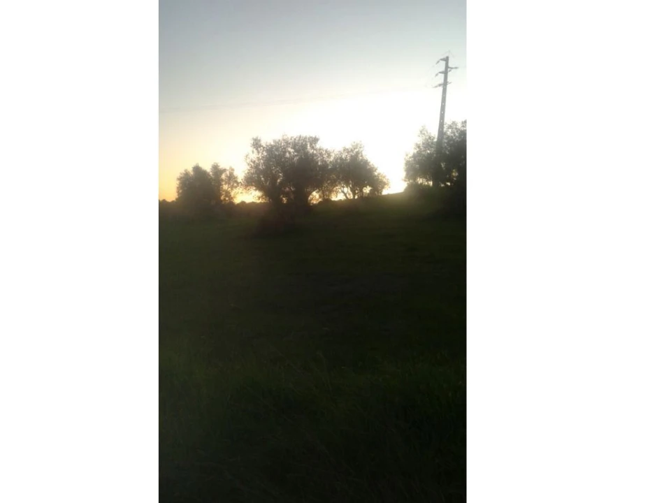 Terreno Agricola ou Rústico para Venda em Montargil Foto 7