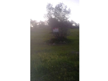 Terreno Agricola ou Rústico para Venda em Montargil