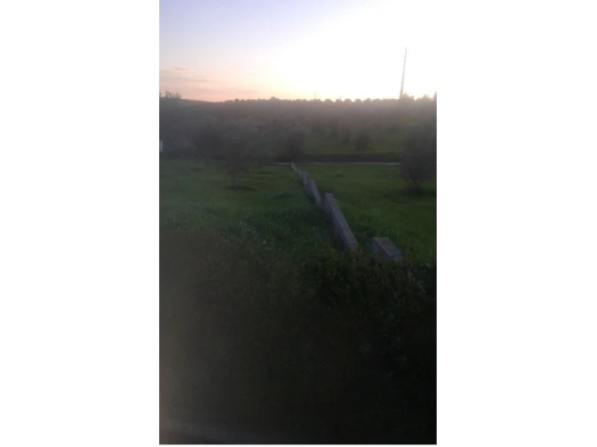 Terreno Agricola ou Rústico para Venda em Montargil Foto 3