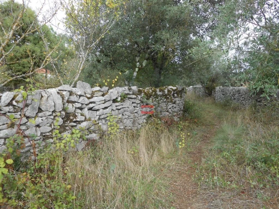 Terreno Misto para Venda em Fatima Foto 6