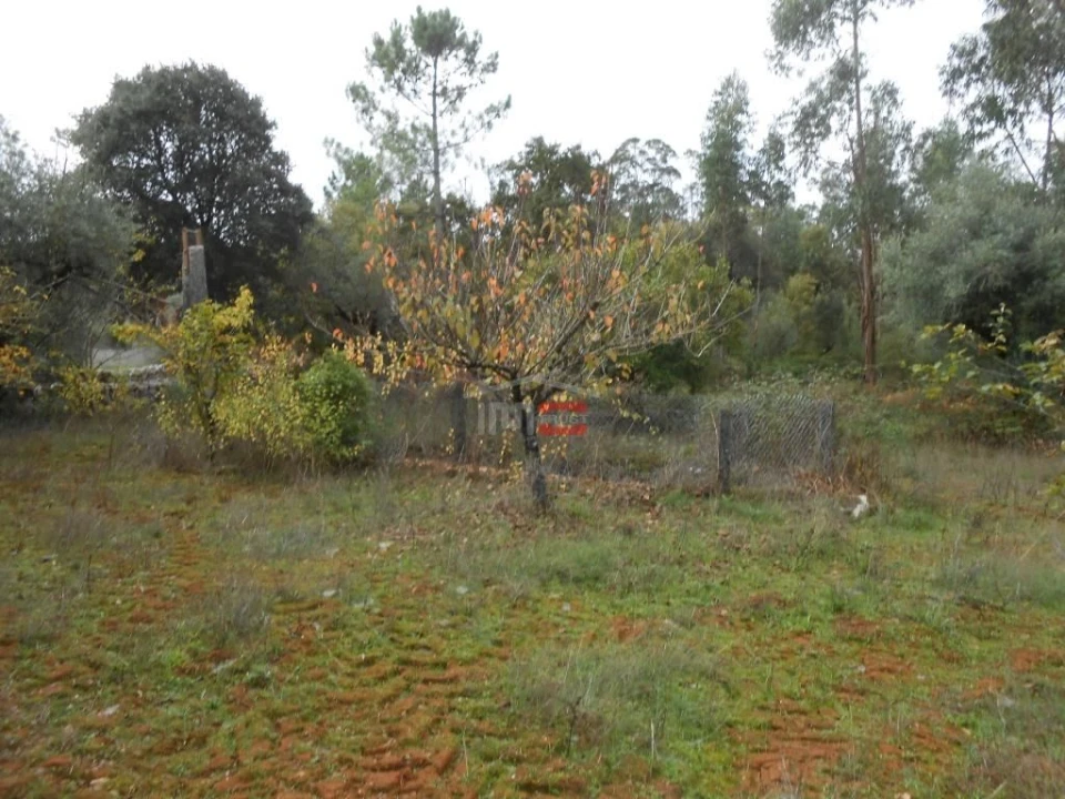 Terreno Misto para Venda em Fatima Foto 13