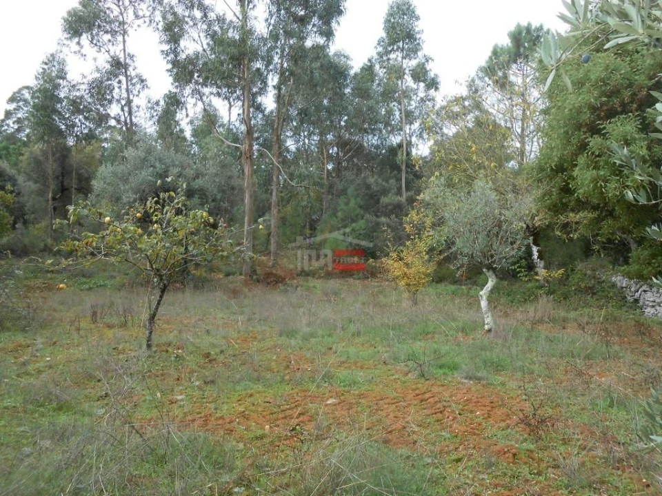 Terreno Misto para Venda em Fatima Foto 14