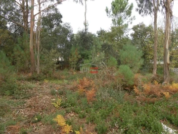 Terreno Misto para Venda em Fatima