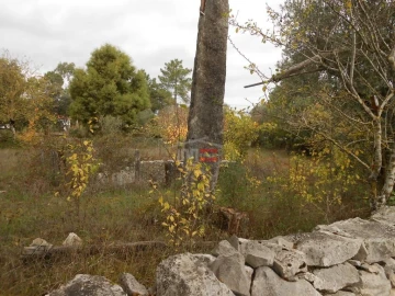 Terreno Misto para Venda em Fatima