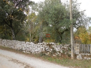 Terreno Misto para Venda em Fatima