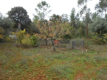 Terreno Misto para Venda em Fatima