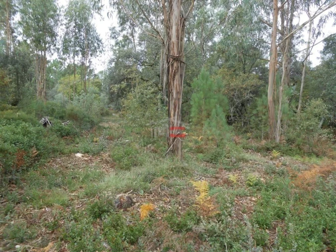 Terreno Misto para Venda em Fatima Foto 2