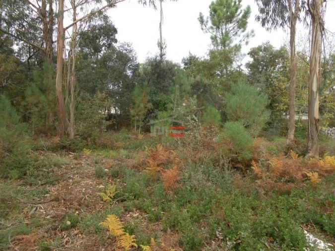 Terreno Misto para Venda em Fatima Foto 3