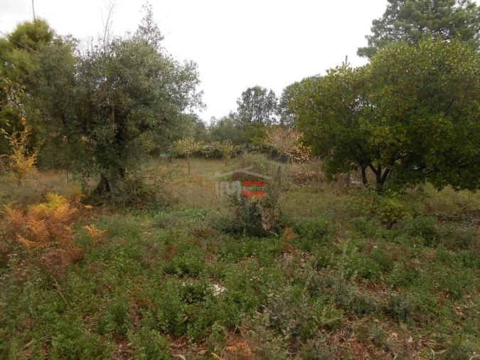 Terreno Misto para Venda em Fatima Foto 4