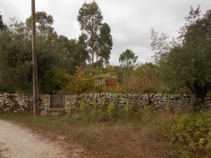 Terreno Misto para Venda em Fatima Foto 10