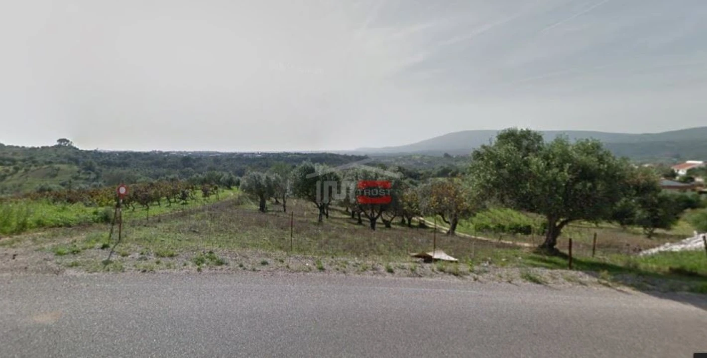 Terreno Misto para Venda em Torres Novas (Santa Maria, Salvador e Santiago) Foto 1
