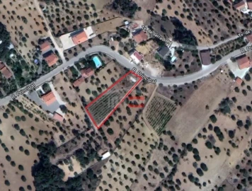 Terreno Misto para Venda em Torres Novas (Santa Maria, Salvador e Santiago)