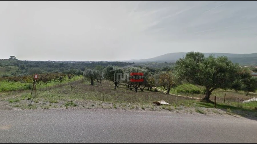 Terreno Misto para Venda em Torres Novas (Santa Maria, Salvador e Santiago)